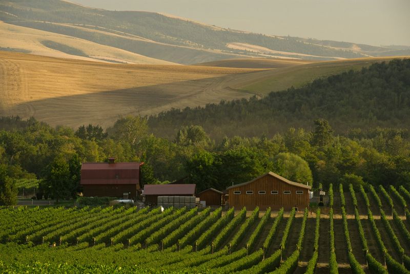 Walla Walla, Washington