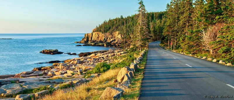 Loop Road, Acadia National Park, Maine