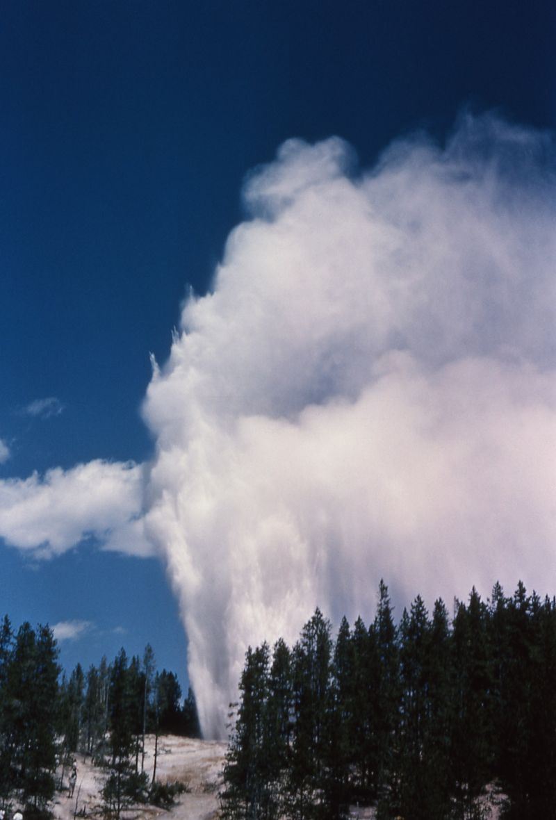 Nature's Spectacular Water Show