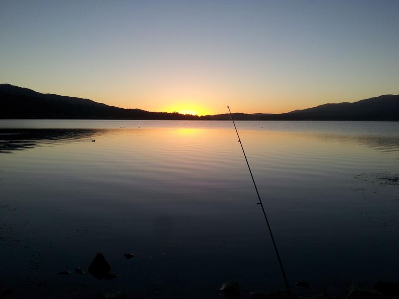 Fishing Delights