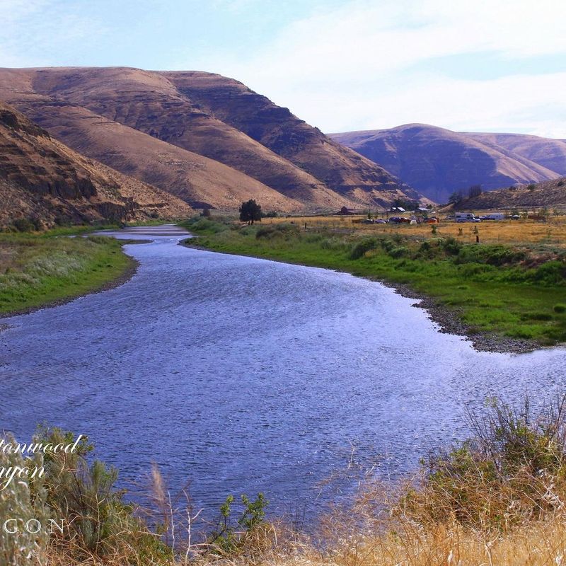Seasonal Transformations Create Year-Round Natural Beauty