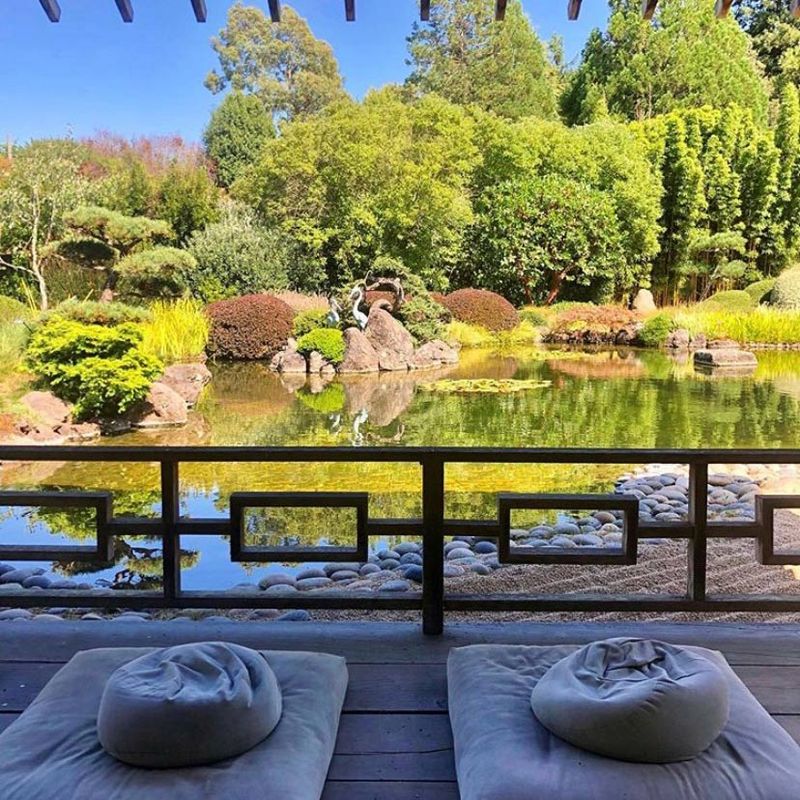 Botanical Garden Meditation
