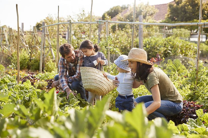 Gardening Together