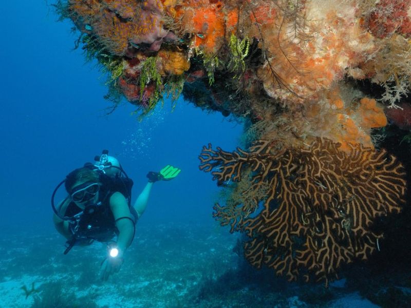 Scuba Diving in Cozumel