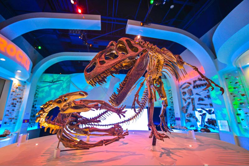 Family Fun at Bandera Natural History Museum