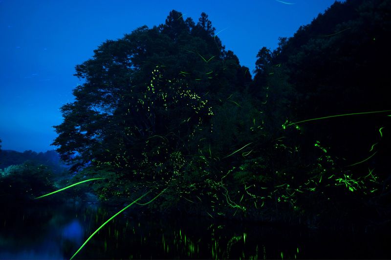Hita, Oita, Japan