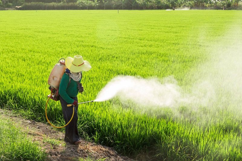Buy and Use Pesticides Like DDT