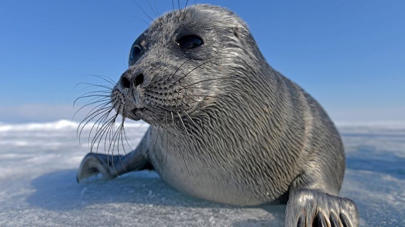 Home to Over 3,700 Species