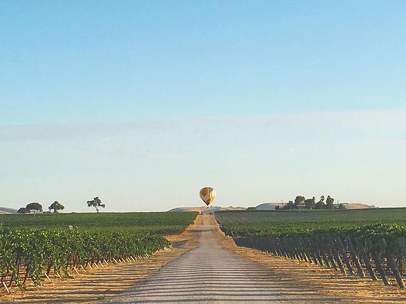 Hot Air Balloon Rides