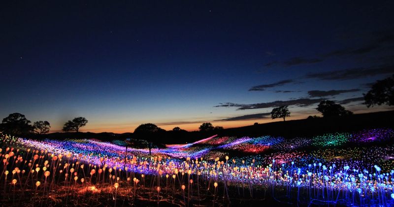 Sensorio: Field of Light Art Installation