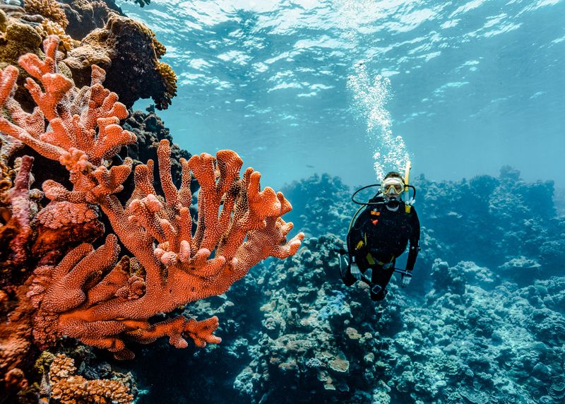 Great Barrier Reef
