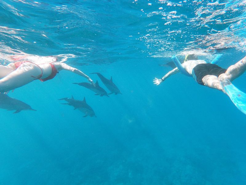 Kealakekua Bay, Hawaii - Where Wild Dolphins Choose You