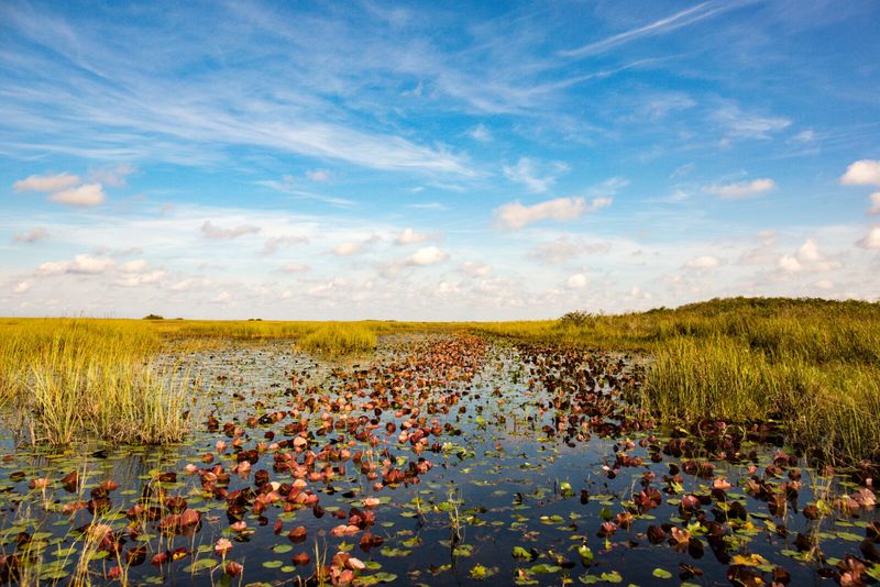 The Everglades, Florida