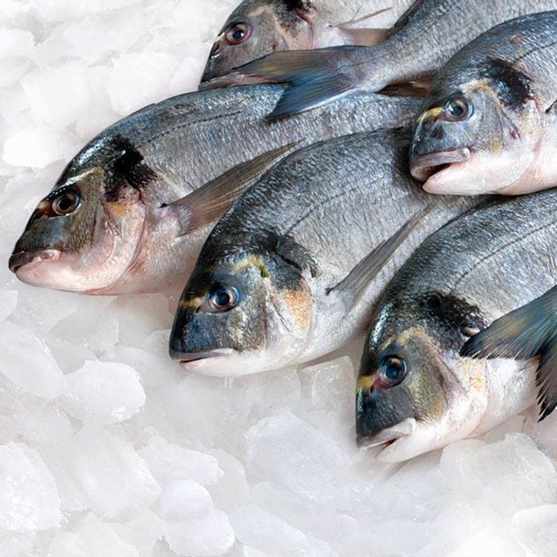 Fish on a Monday