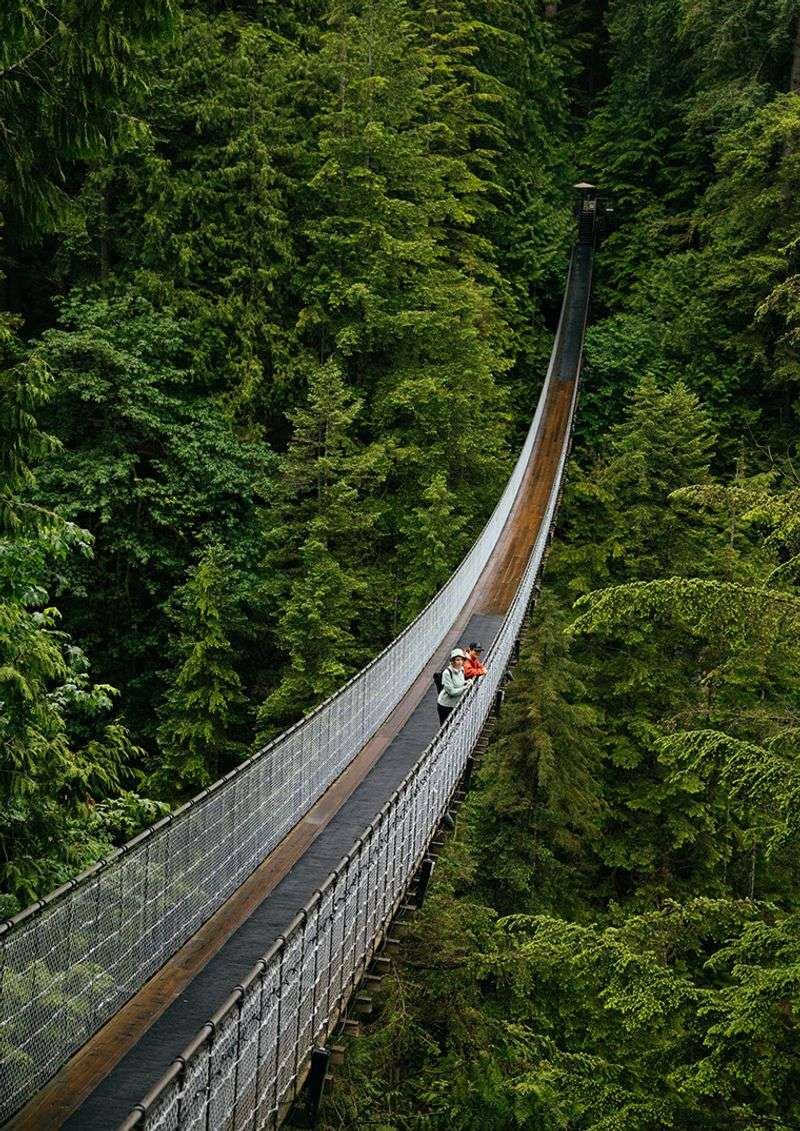 Capilano Suspension Bridge