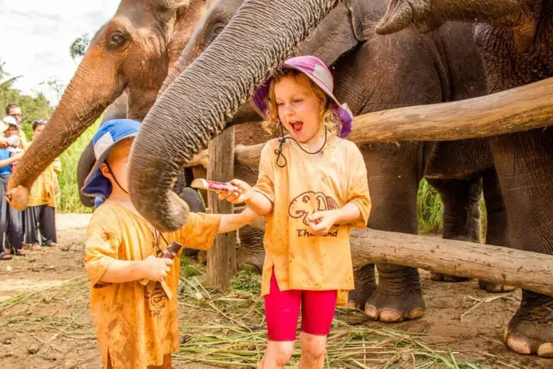 Thailand - Best for Cultural Fun
