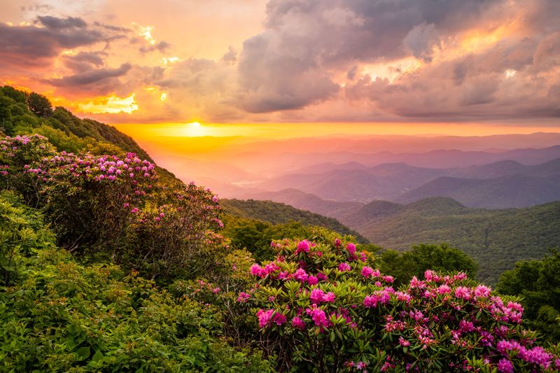 Outdoor Adventures on Mountain Trails