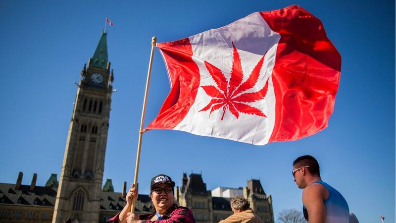 Misuse Cannabis Laws