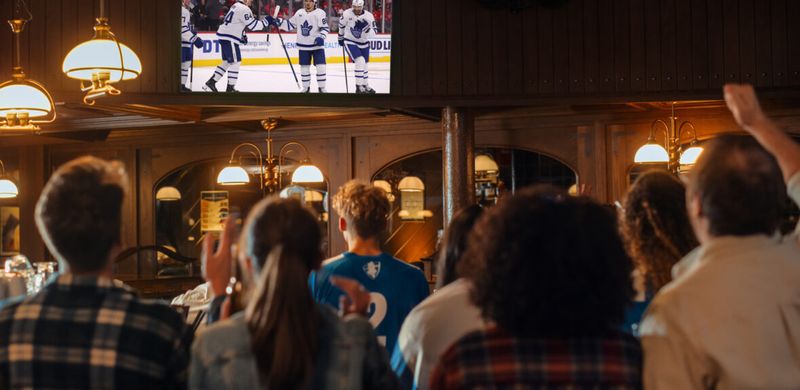 Dismiss Hockey Culture
