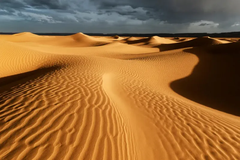Sahara Desert, North Africa: Ocean of Sand