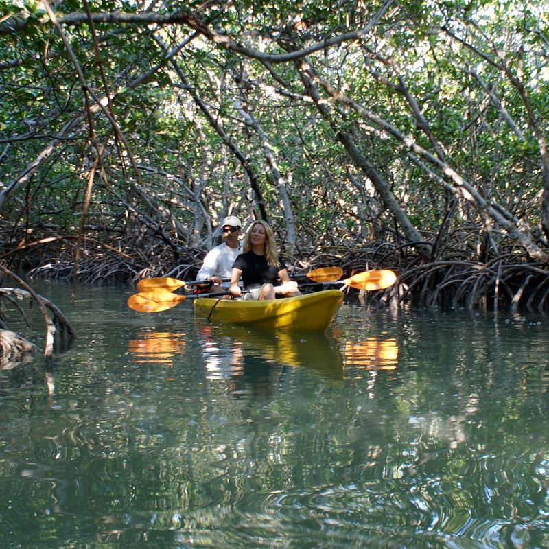 Founders Park Beach's Mangrove Tunnels