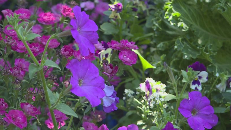 Gardening Bliss