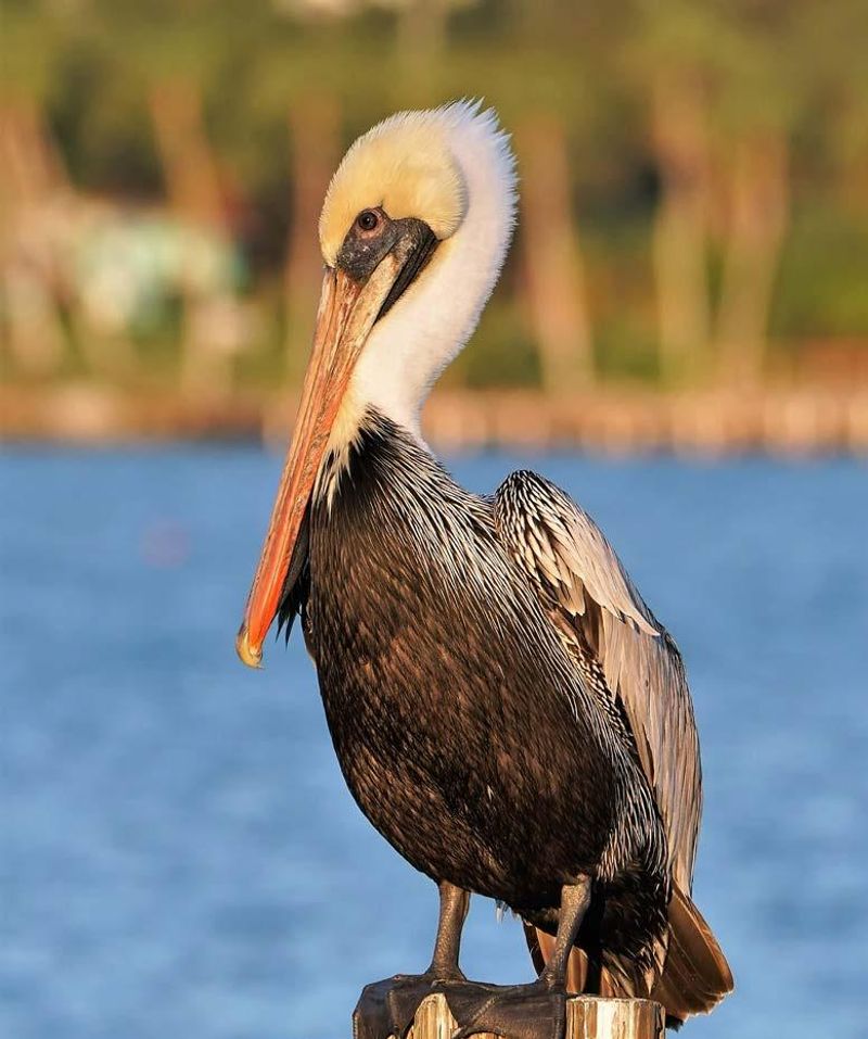 Indian River Rest Area — Vero Beach, Florida