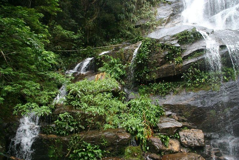 Tijuca National Park
