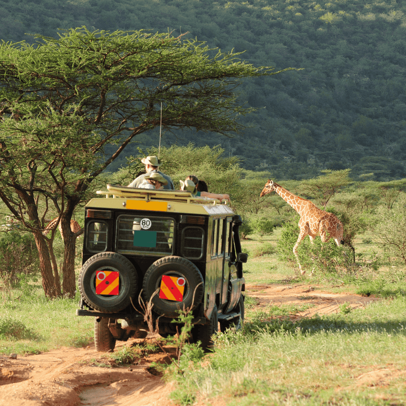 Kenya's Electronic Visa System