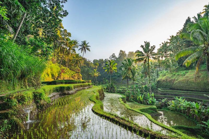 Indonesia