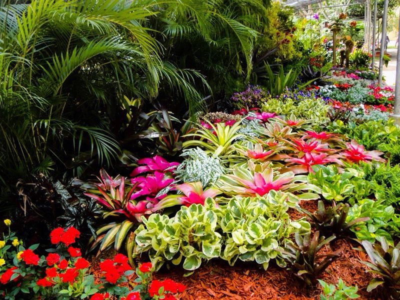 Aibonito Flower Festival