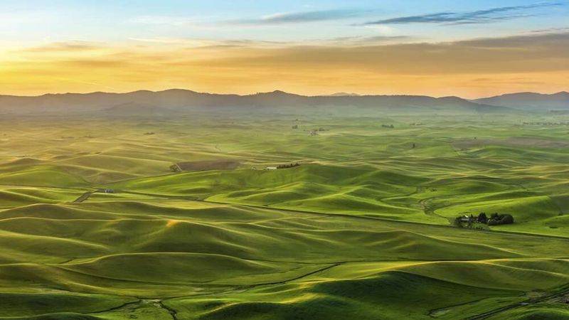 The Palouse, Washington