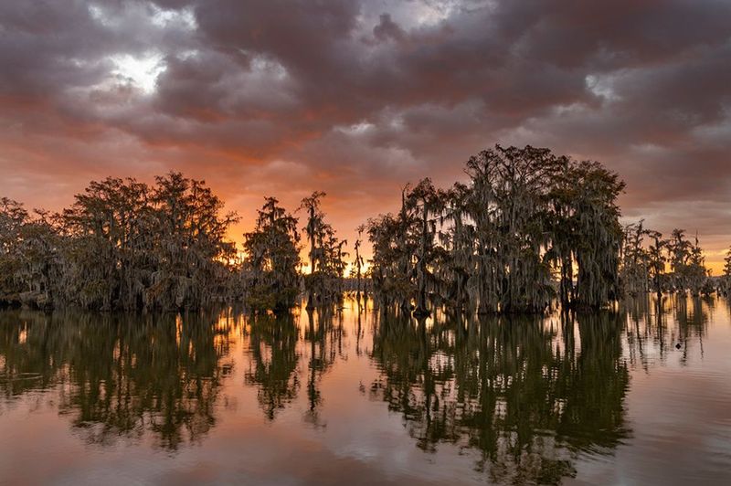 Lake Martin, Louisiana