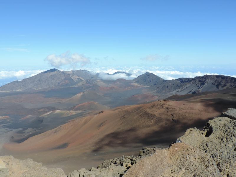 Hosmer Grove Campground — Haleakalā National Park, Maui