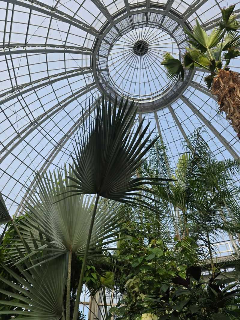 Belle Isle Conservatory