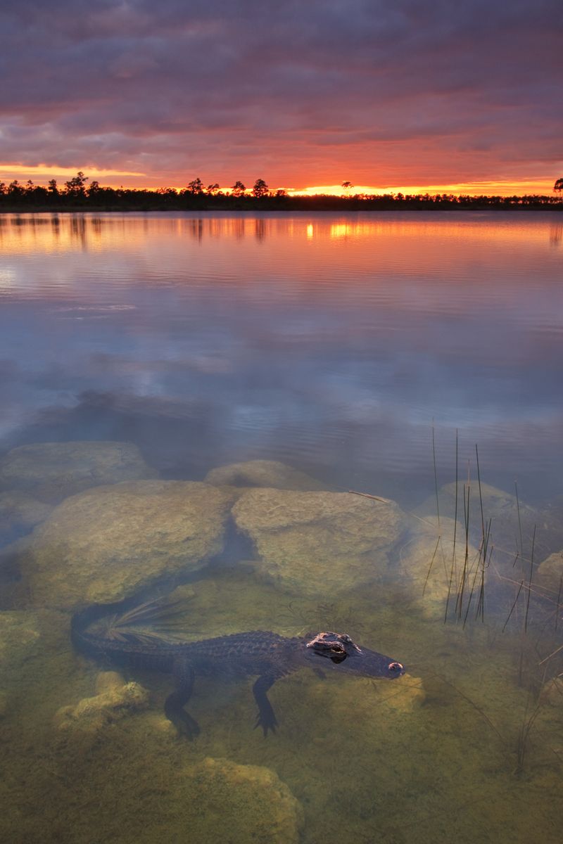 Everglades National Park