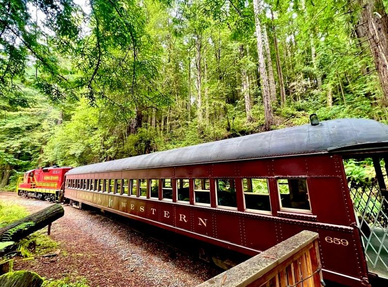 Step Back in Time on Historic Rails