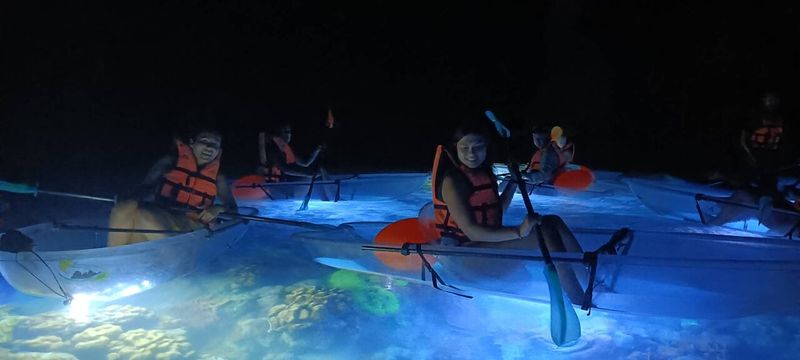 Koh Lanta's Mangrove Lagoon