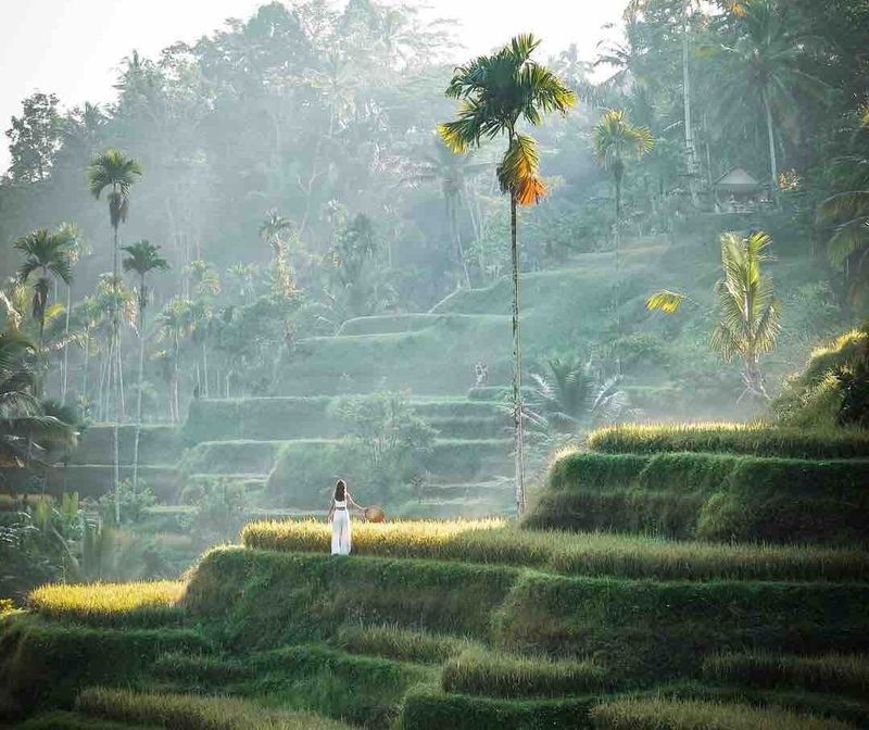 Bali, Indonesia - Island of the Gods