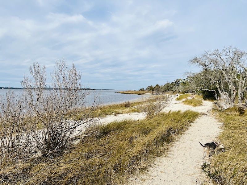 A Quiet, Unspoiled Beach (No Boardwalk Chaos)