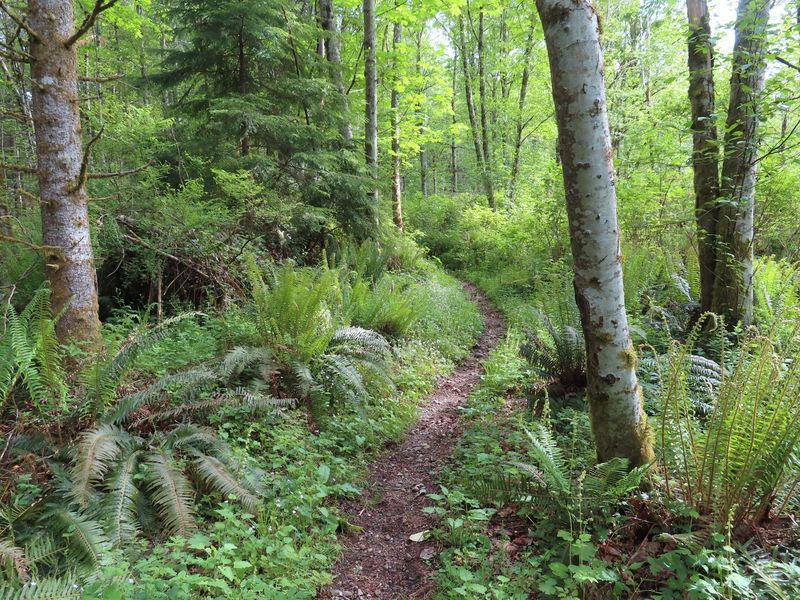 Hiking the Hidden Trails