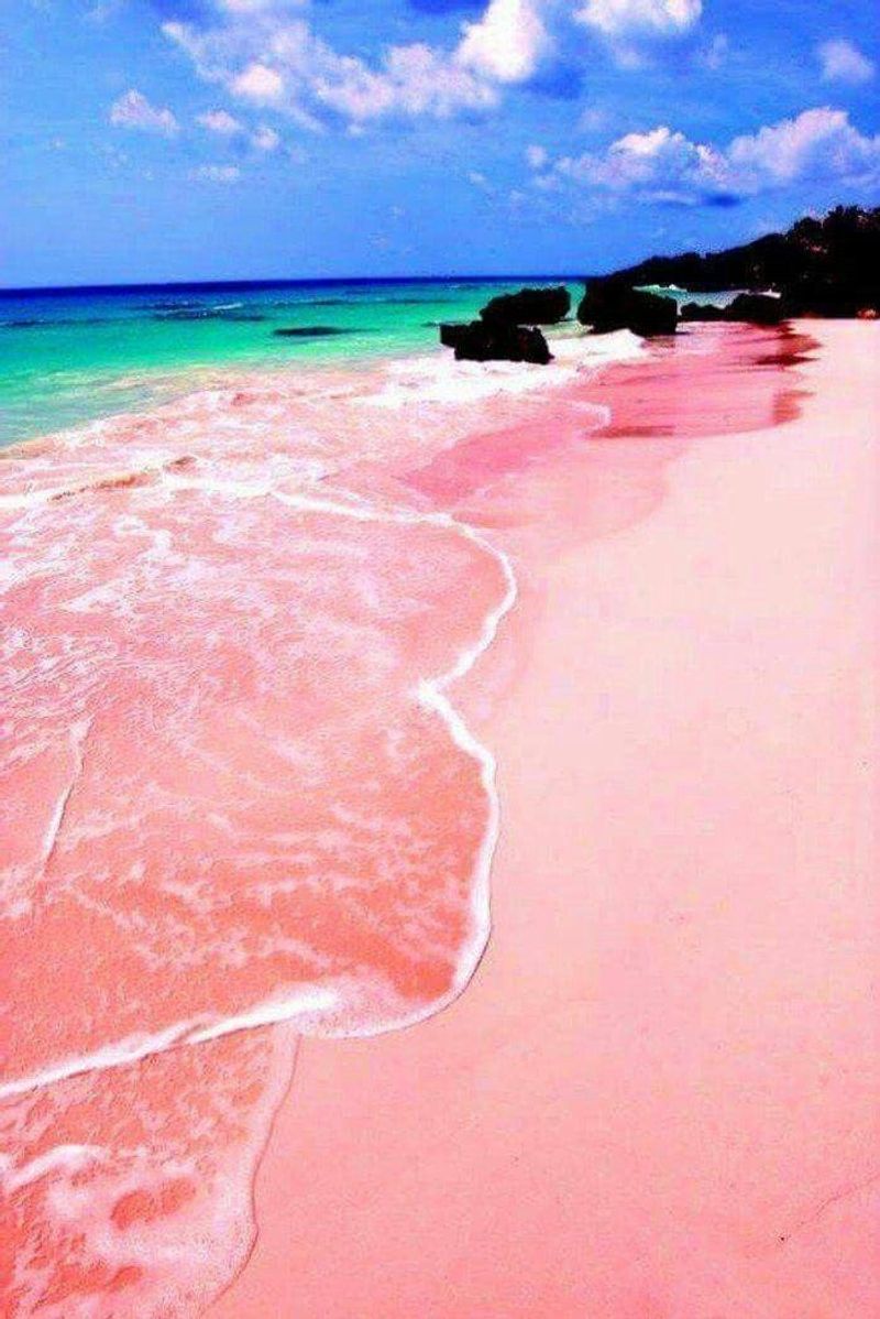 Pink Sands Beach, Bahamas