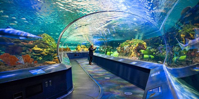 Toronto Underwater World