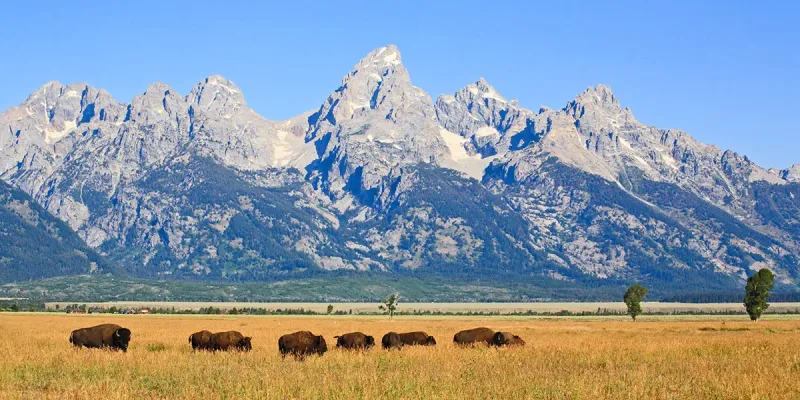 Jackson Hole, Wyoming