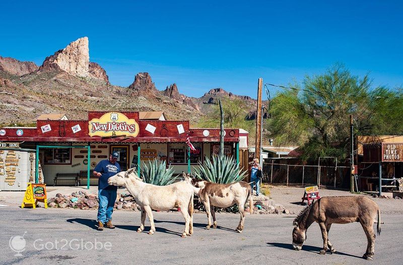 Oatman, Arizona – Wild Burros and Old West Atmosphere