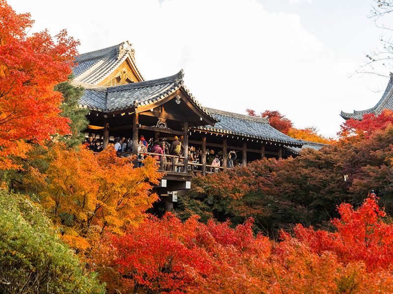 Tofuku-ji Temple When Momiji Chirihajimeru (Maple Leaves Begin Falling)