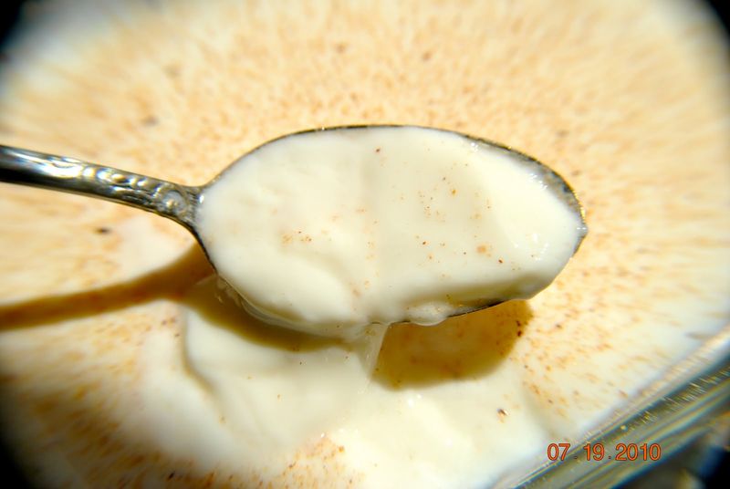 Rennet Custard