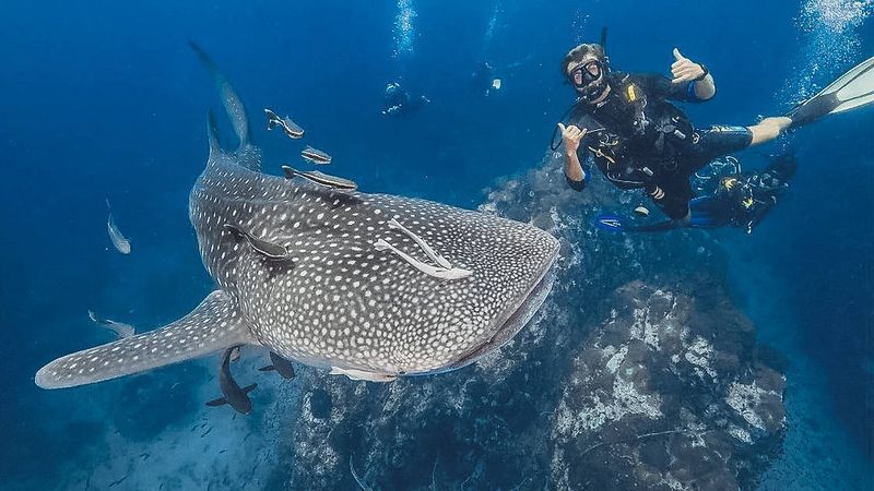 Similan Islands, Thailand