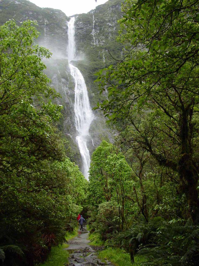 Sutherland Falls Track