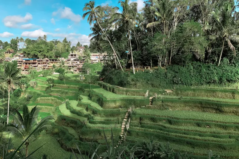 Ubud, Indonesia